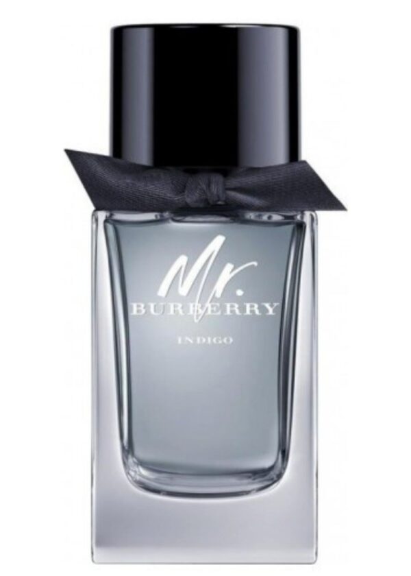 Burberry Mr Indigo EDT tester uomo 100 ml